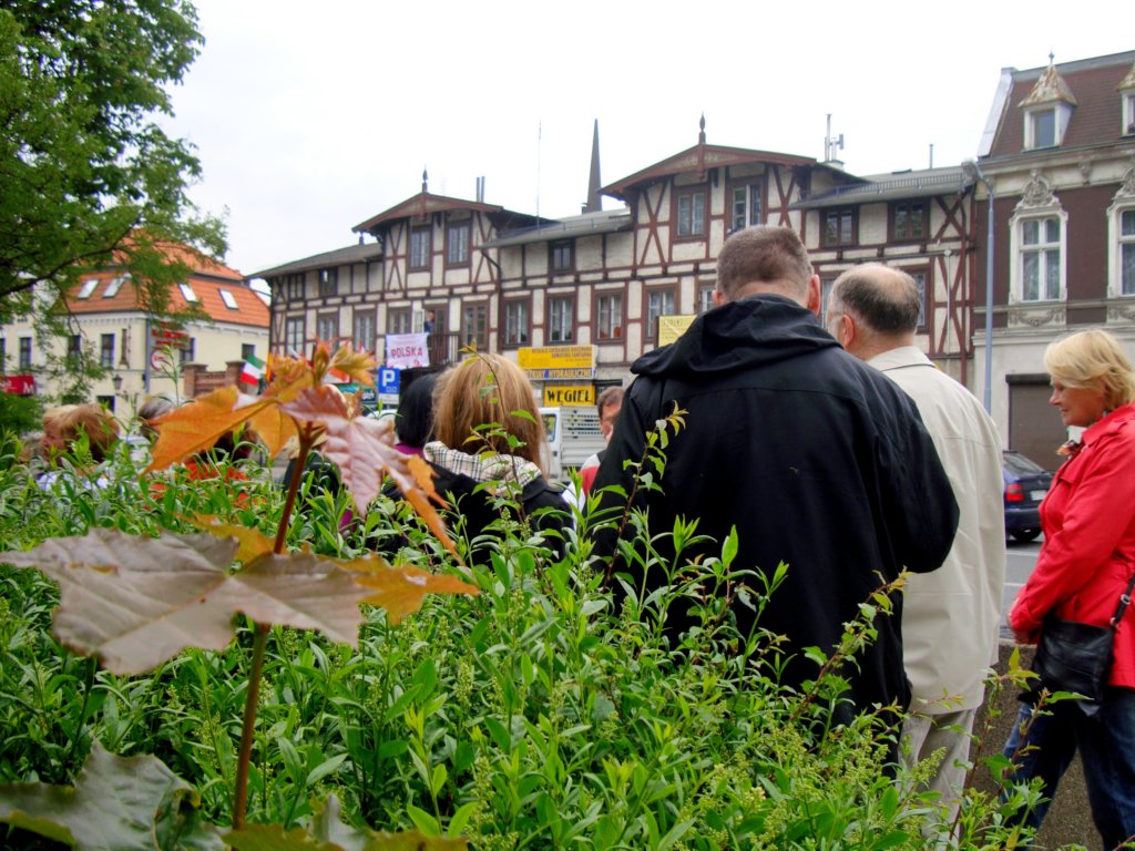 staraoliwa05.jpg