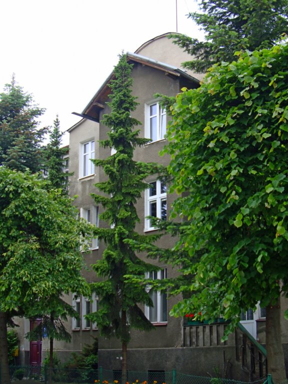 staraoliwa20.jpg