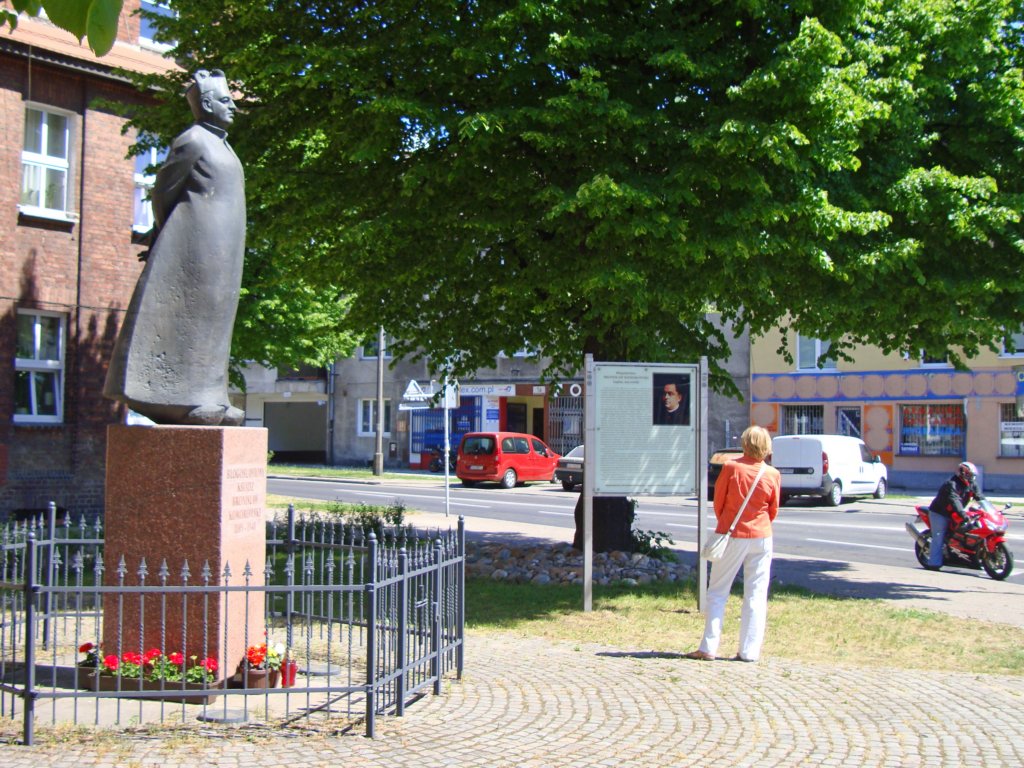 wrzeszczd01.jpg