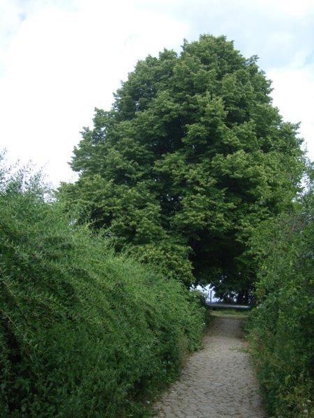 nowyport03.jpg