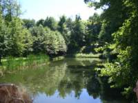 dsc06326_small.jpg