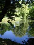 dsc06330_small.jpg
