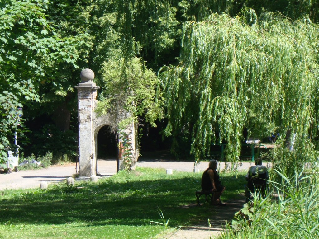 dsc06331.jpg