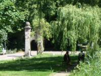 dsc06331_small.jpg