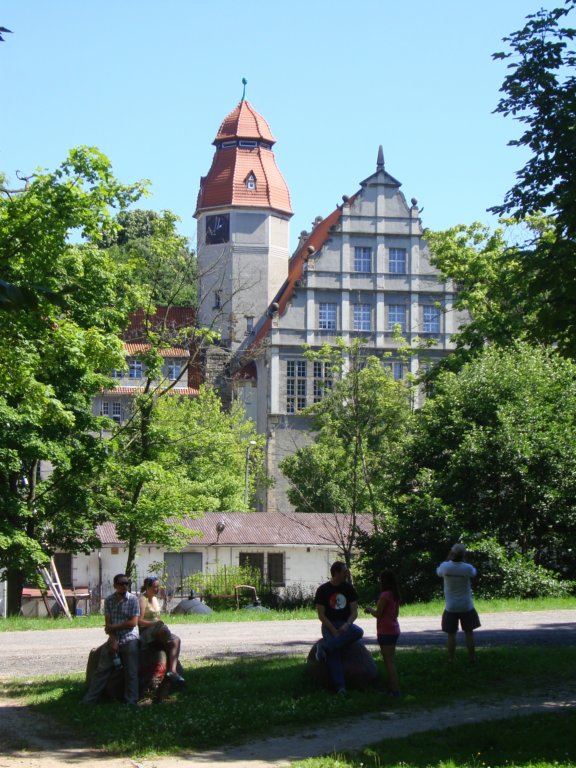 dsc06335.jpg