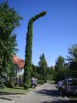 dsc06356_small.jpg