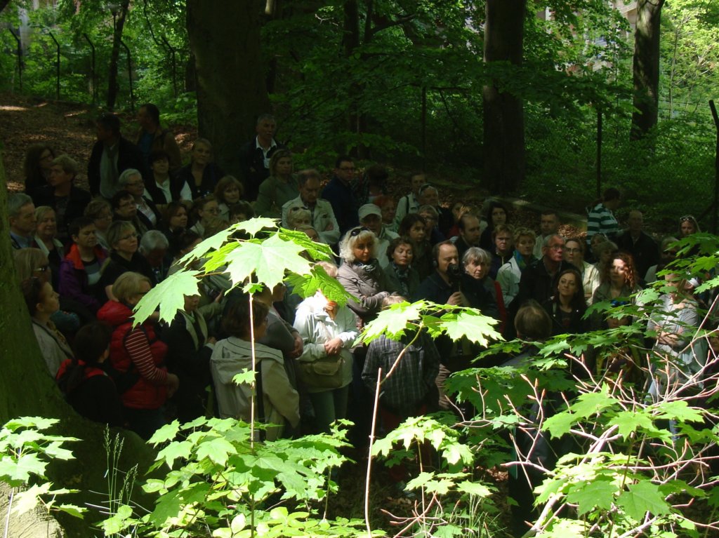 gorajana10.jpg
