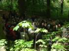 gorajana10_small.jpg