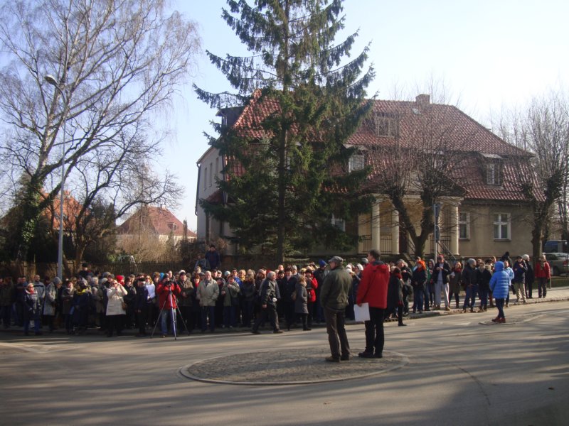 aniolki06.jpg