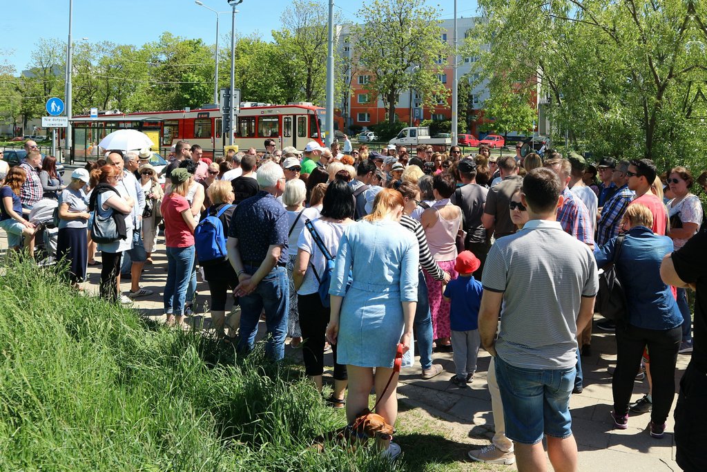 piecki05.jpg