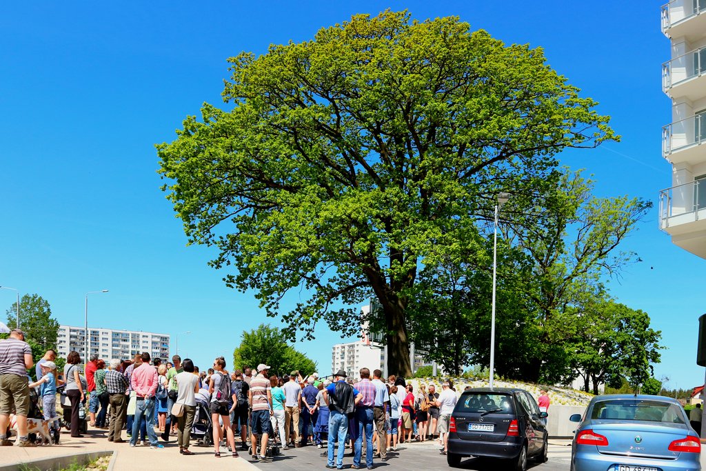 piecki10.jpg